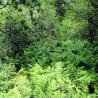 images/Schweden/Schweden 2009/DSC00062.jpg